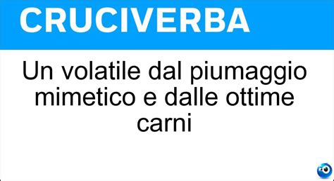 Jay! Un Volatile dal Piumaggio Vibrante con un Canto Ricco di Melodie